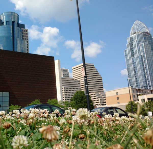 Proc. B Special Issue: Can Random Processes Drive Parallel Evolutionary Responses to Cities?