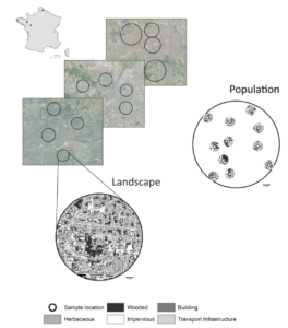 Maps of Manon's study sites of urban snails