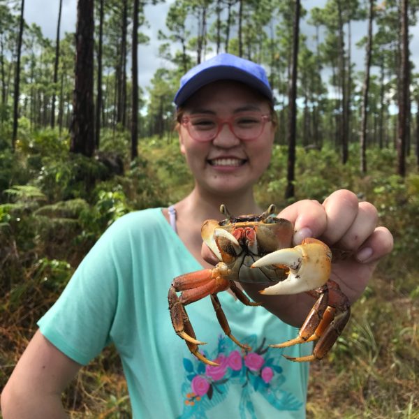 The Undergraduate’s Field Guide to Urban Ecology: Four Things You Should Know