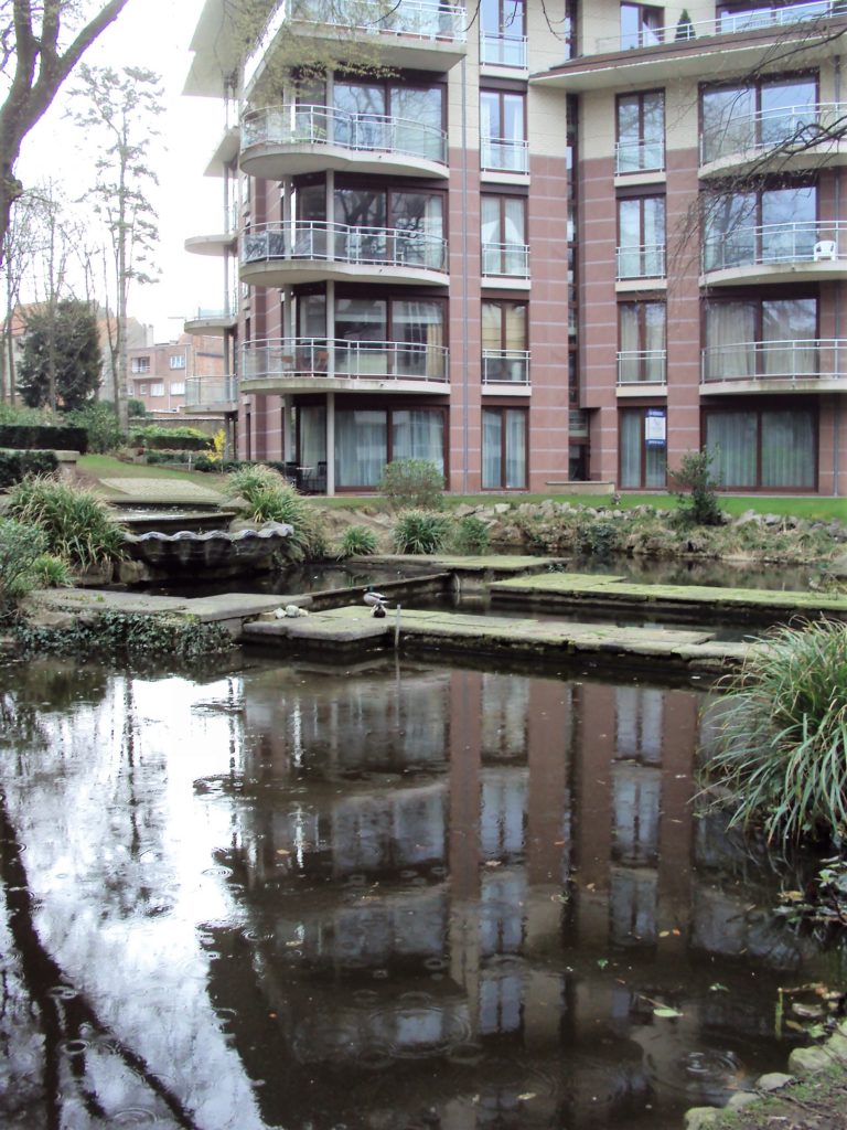 urban aquatic habitat