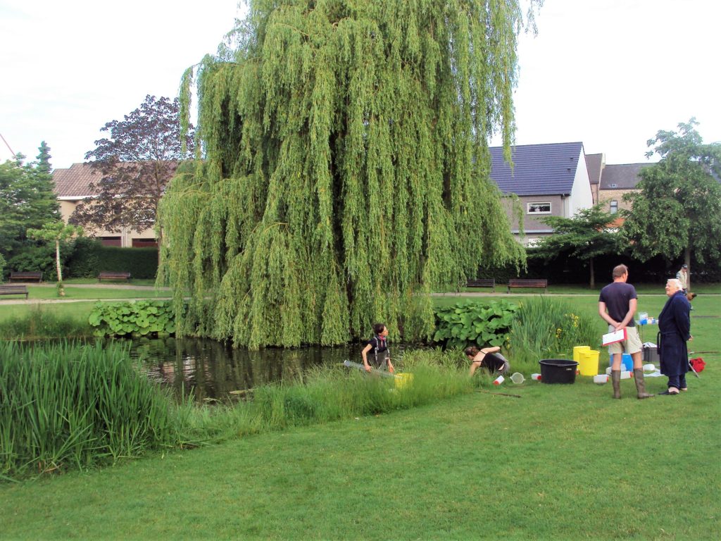 urban aquatic habitat
