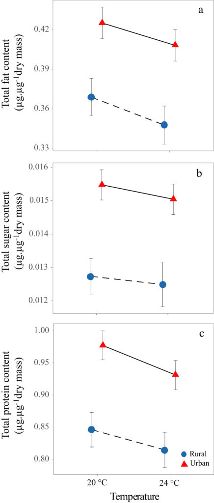 Daphnia phenotypic differences