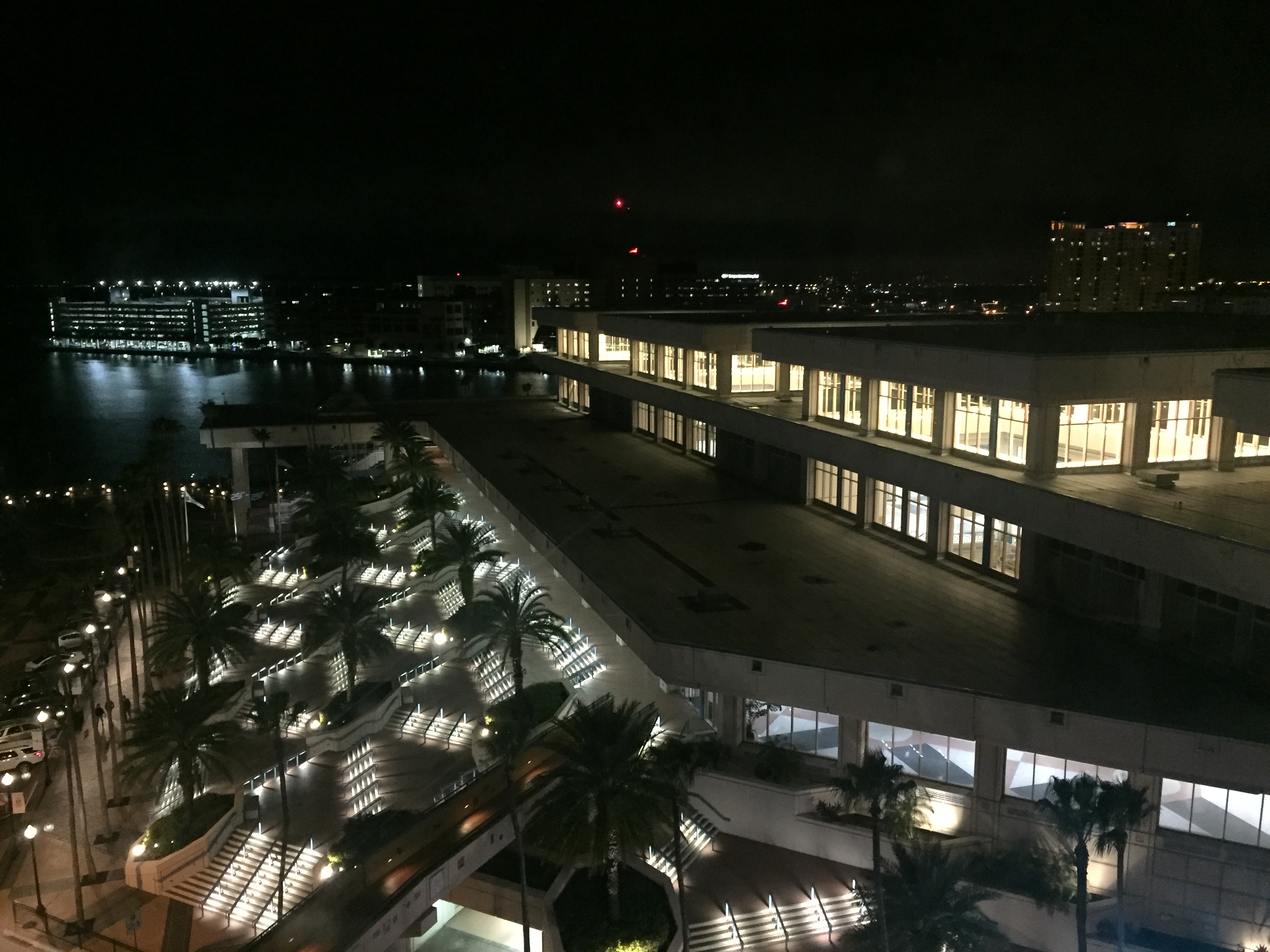 SICB 2019: Artificial Light at Night Has Various Effects on Wildlife
