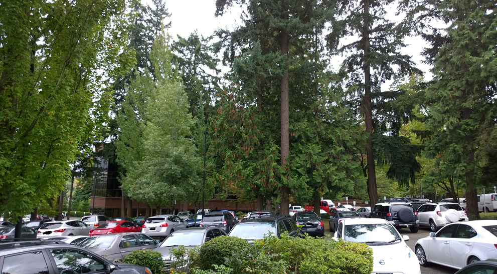 An office development with a full parking lot durig the week.