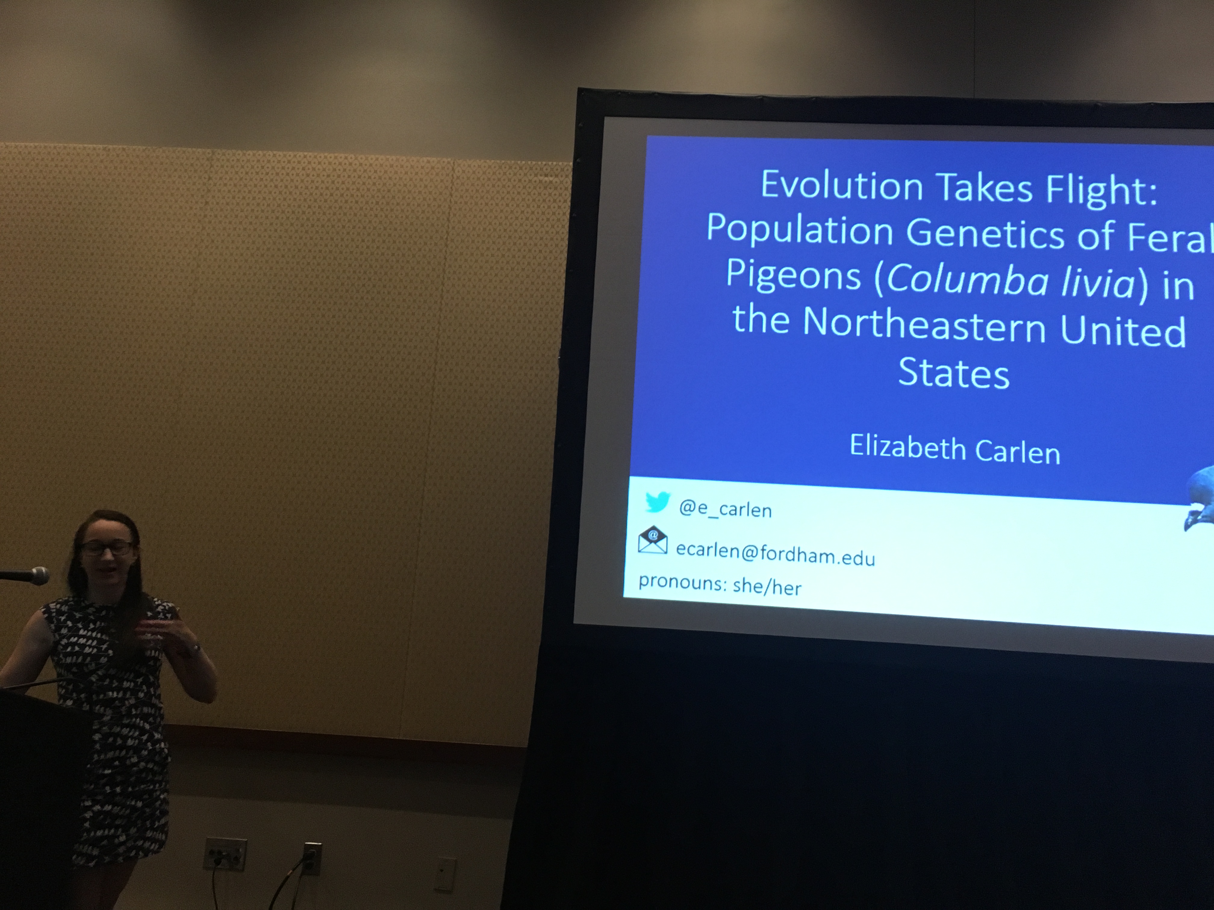 Evolution 2019: Evolution Takes Flight: Population Genetics of Feral Pigeons (Columba livia) in the Northeastern United States