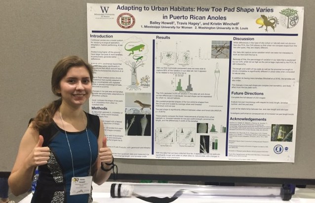 Evolution 2019: Urban Lizards Have Wider and Longer Toepads