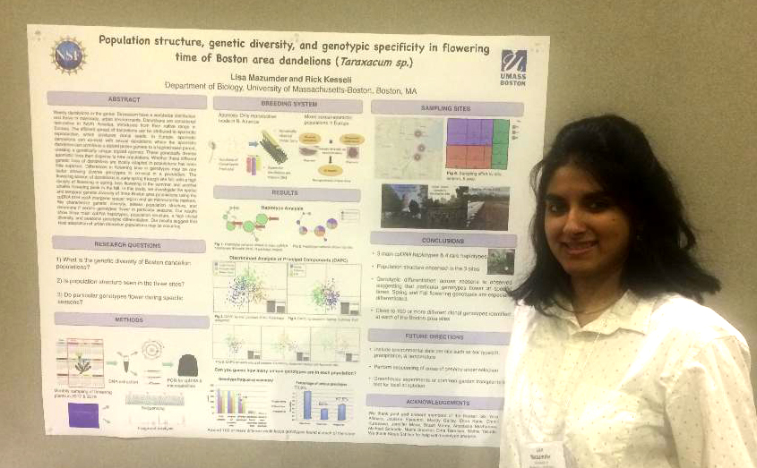 Evolution 2019: Population Structure, Genetic Diversity, and Genotypic Specificity in Flowering Time of Boston Area Dandelions (Taraxacum sp.)