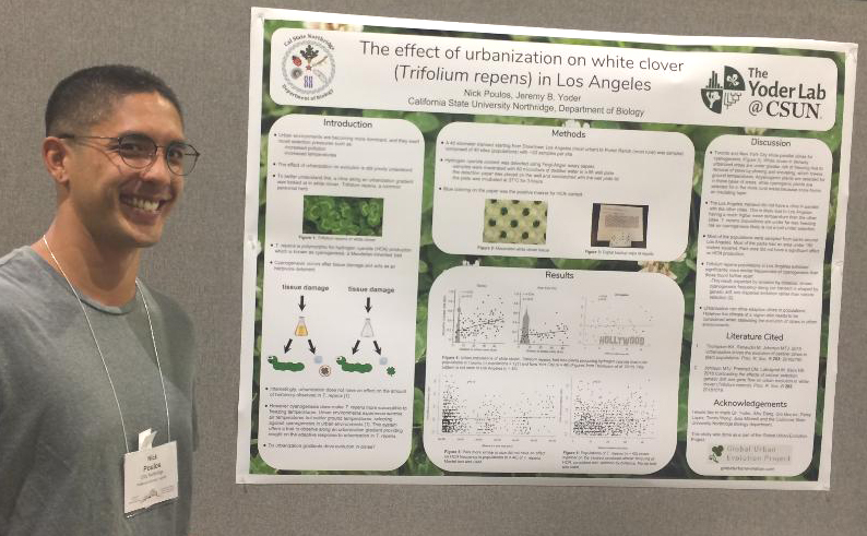 Evolution 2019: The Effect of Urbanization on White Clover (Trifolium repens) in Los Angeles