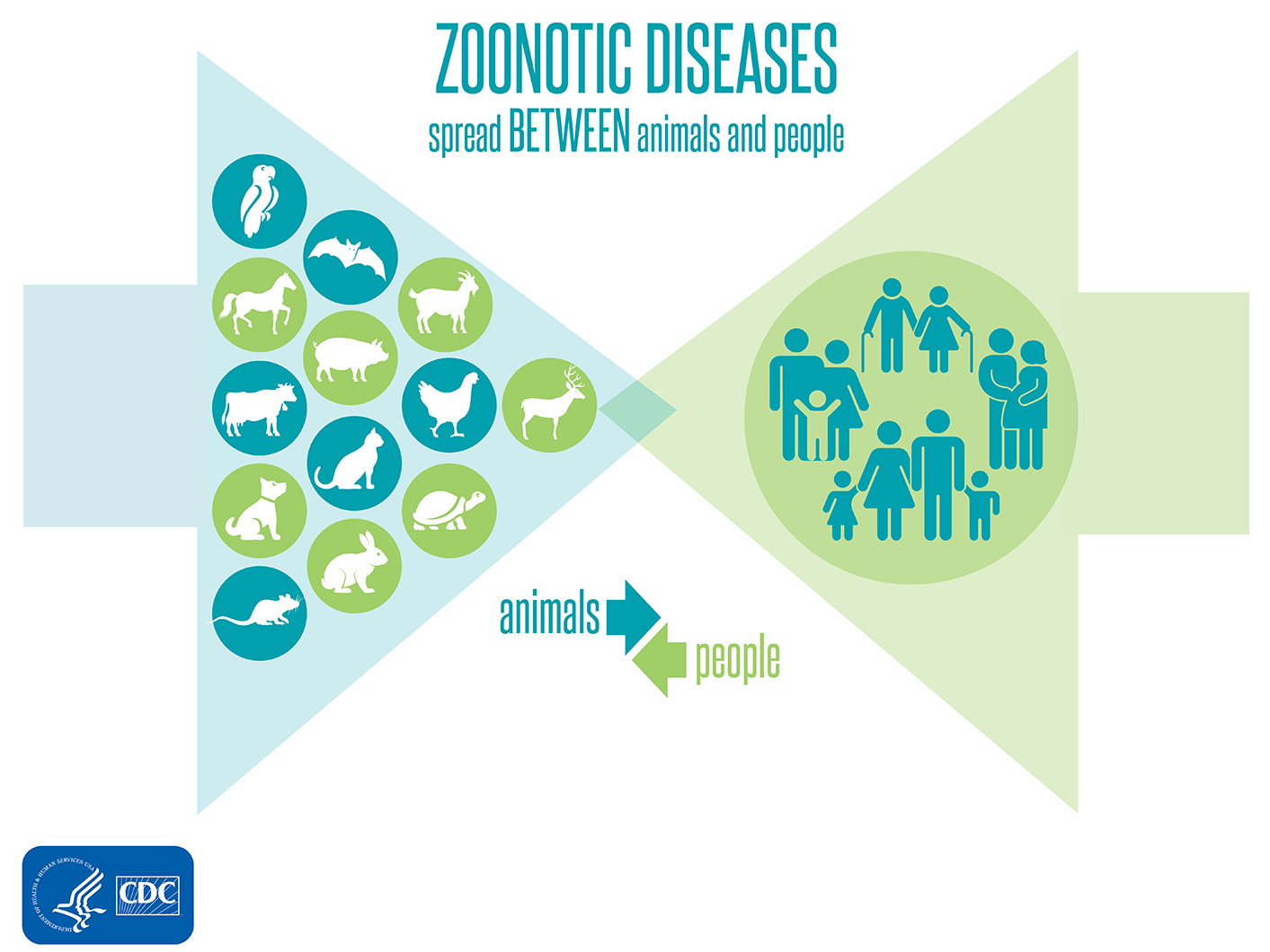 Urbanization And Zoonotic Disease - Life In The City