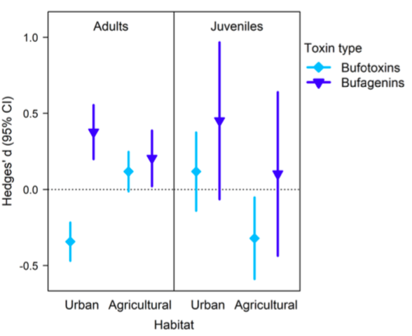 Bufadienolide concentrations differ between urban, agricultural, and natural habitat toads
