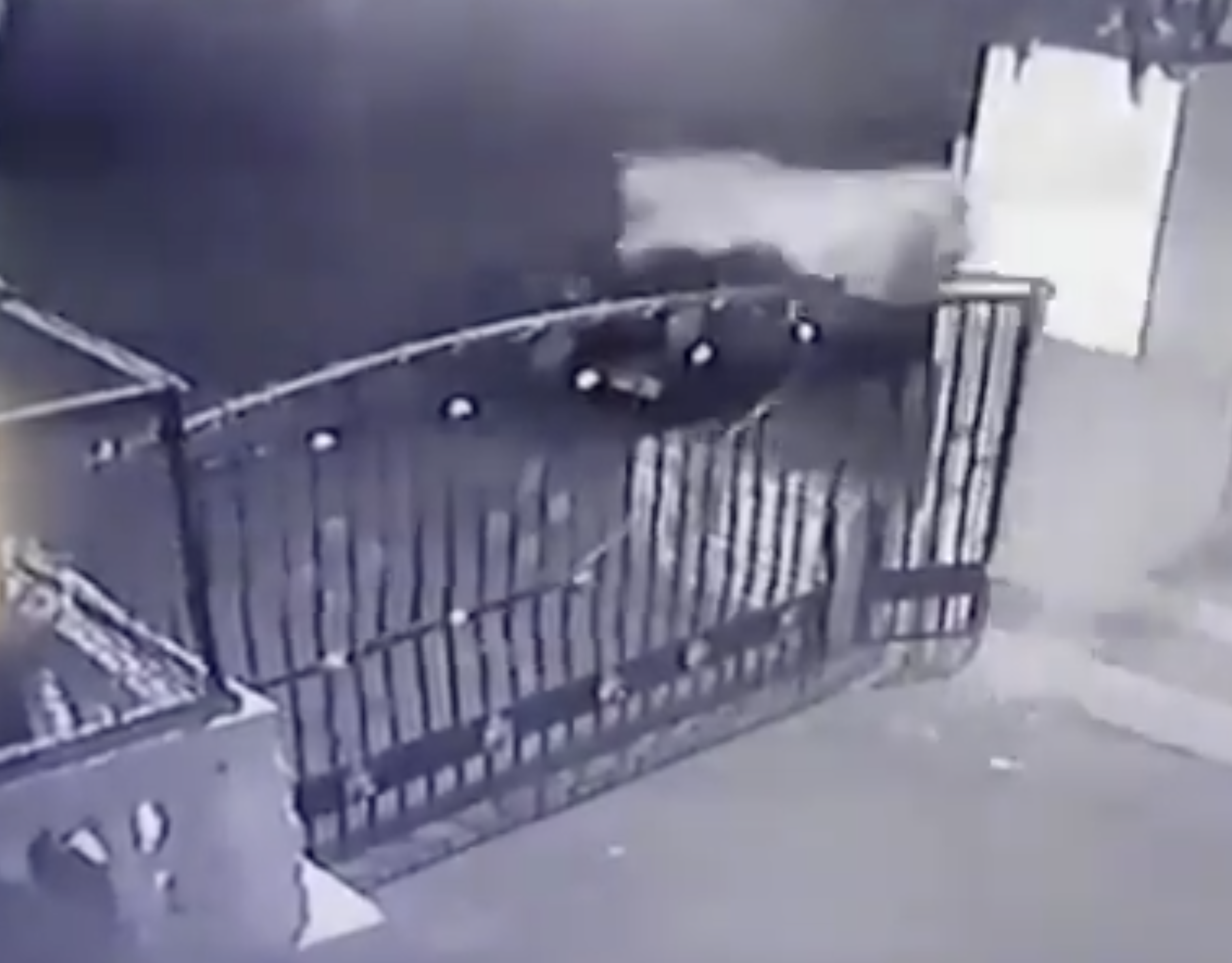 Urban Observation of the Week: Flying Leopard