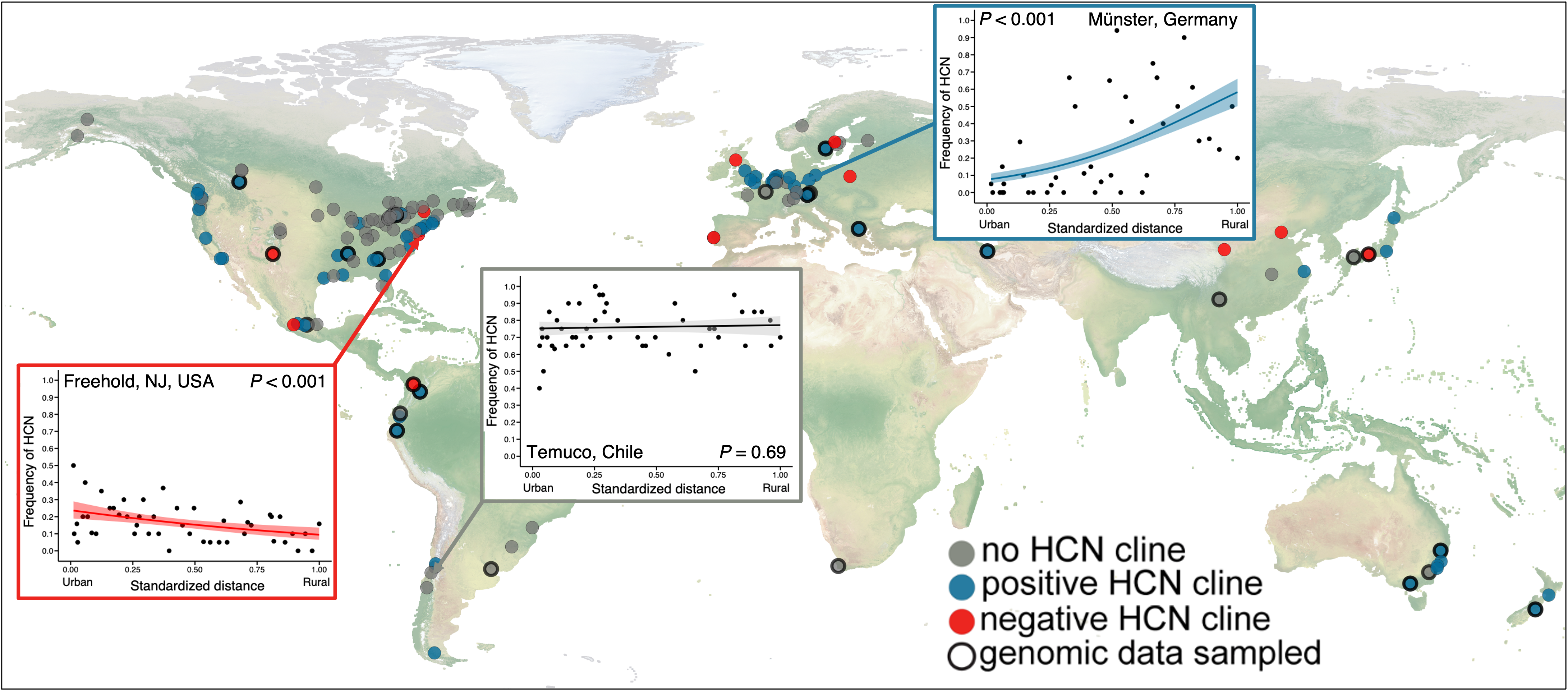 Urban Evolution Goes Global: Main Findings From The Global Urban ...