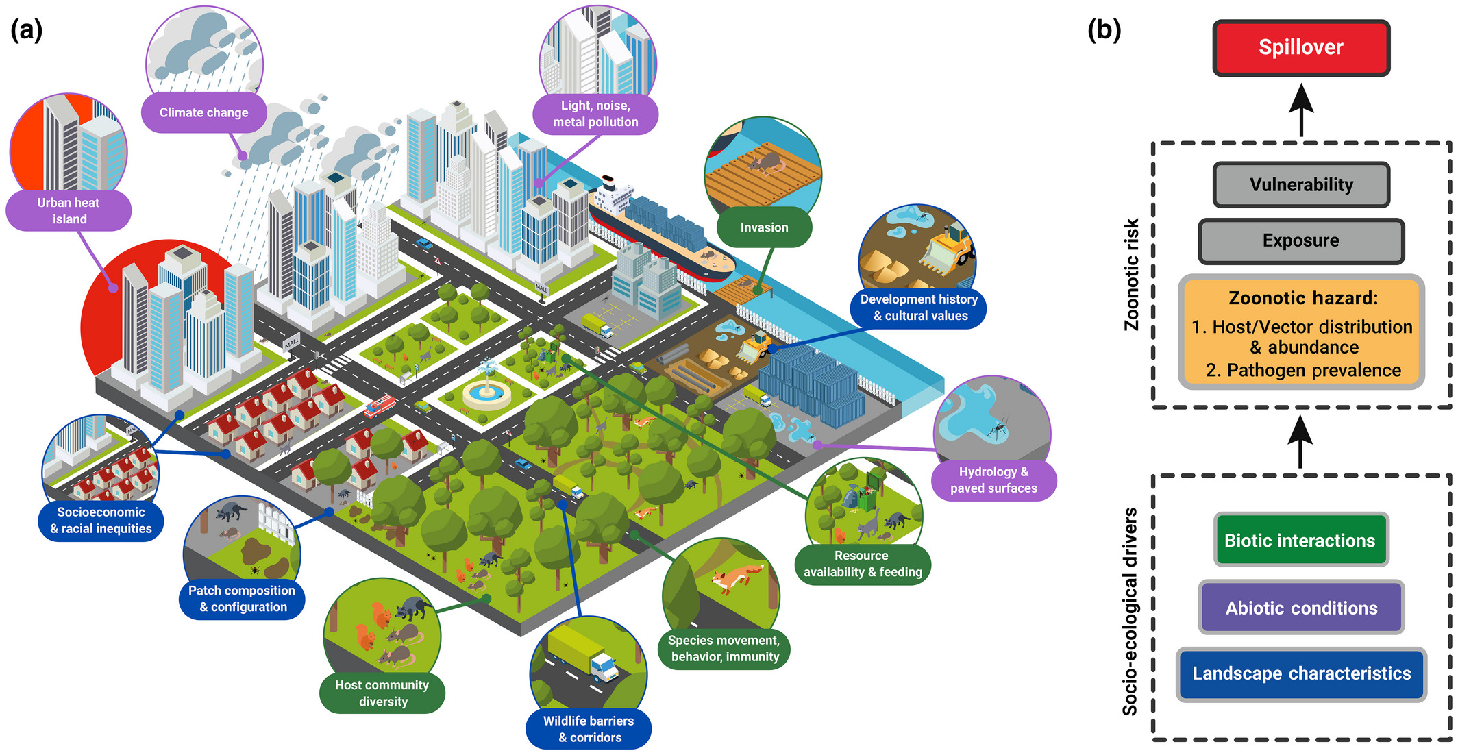 New Lit Alert: Socio-ecological drivers of multiple zoonotic hazards in highly urbanized cities