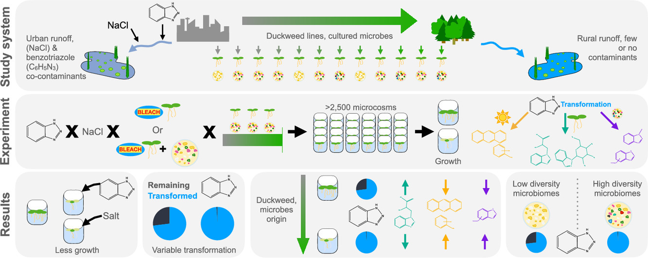 New Lit Alert: Harnessing plant-microbiome interactions for bioremediation across a freshwater urbanization gradient