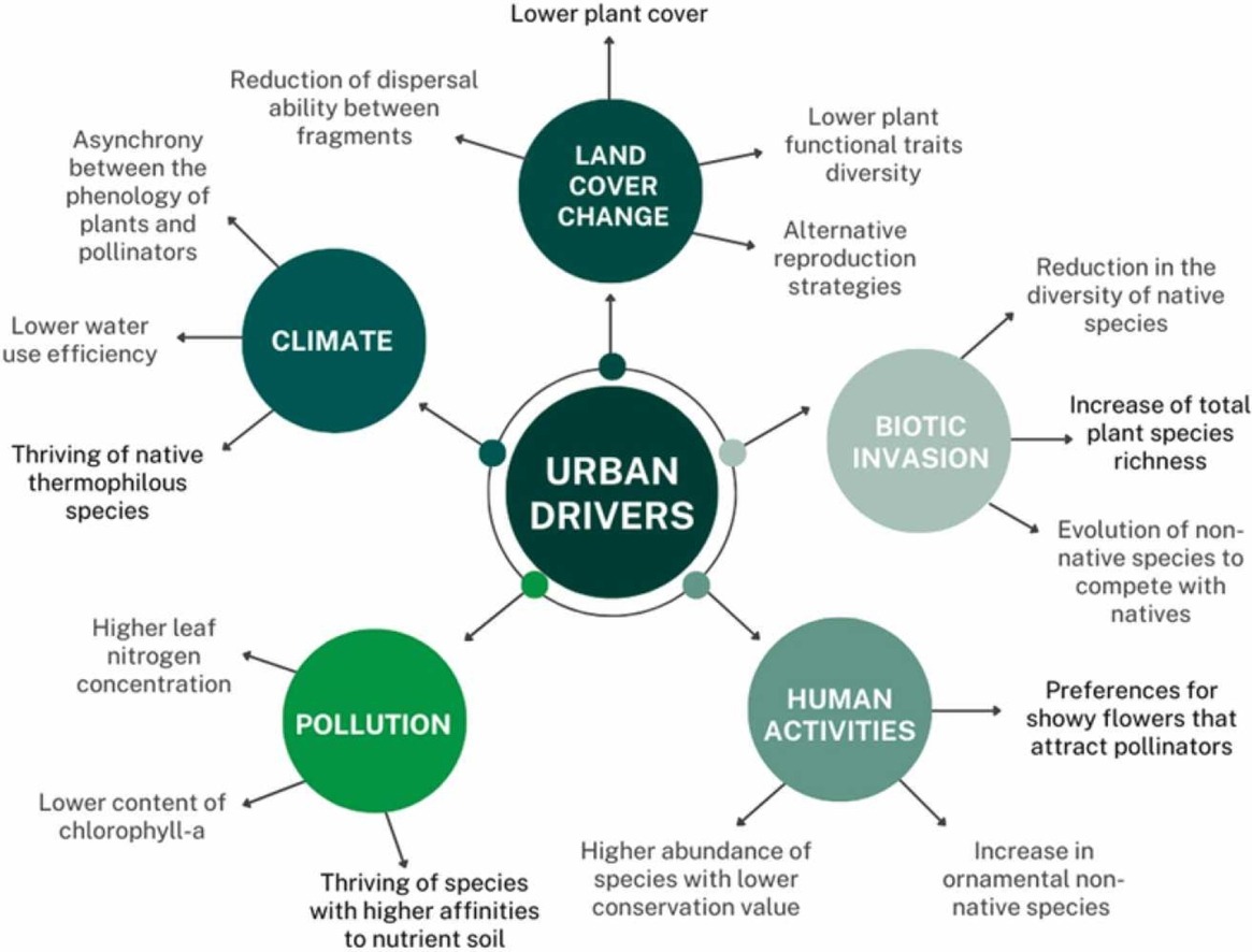 New Lit Alert: Urbanization driving changes in plant species and communities – A global view
