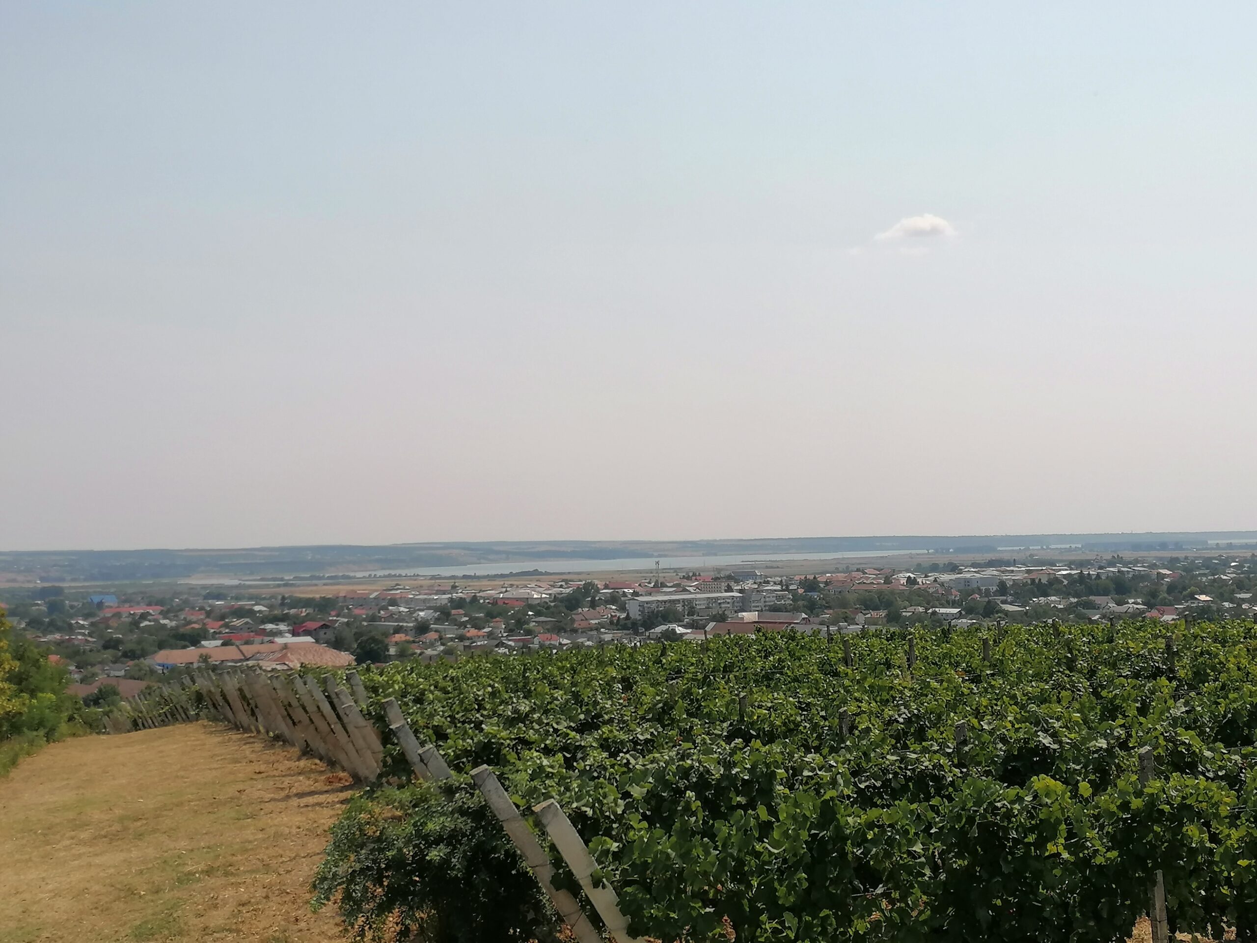 View of Drăgășani city and Olt River from the vineyards
